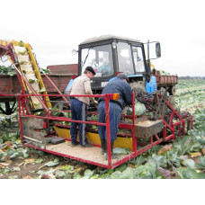 Комбайн капустоуборочный малогабаритный МКК-1